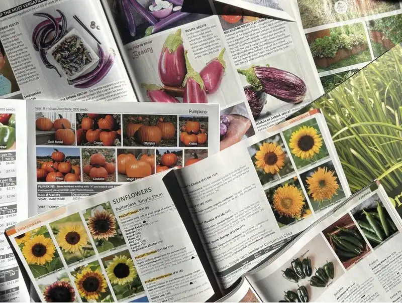 January: Seed Catalog Browsing