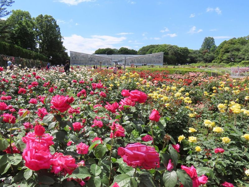Jindai Botanical Gardens Festival