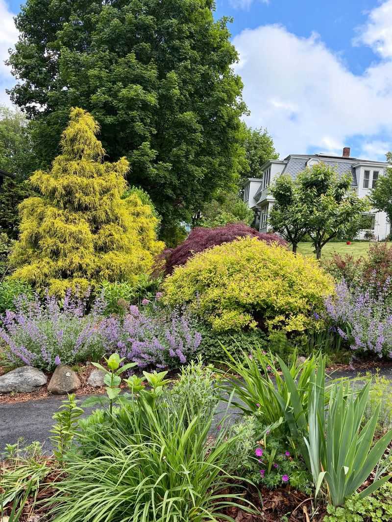 June: Pruning Perennials