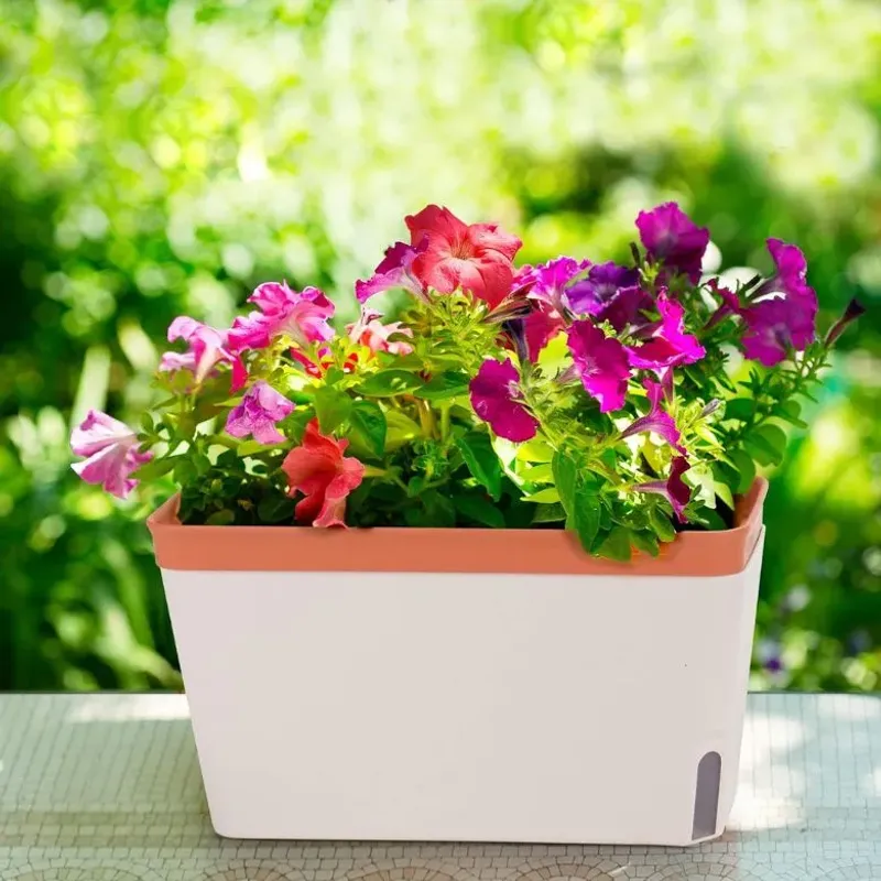 Self-Watering Pots
