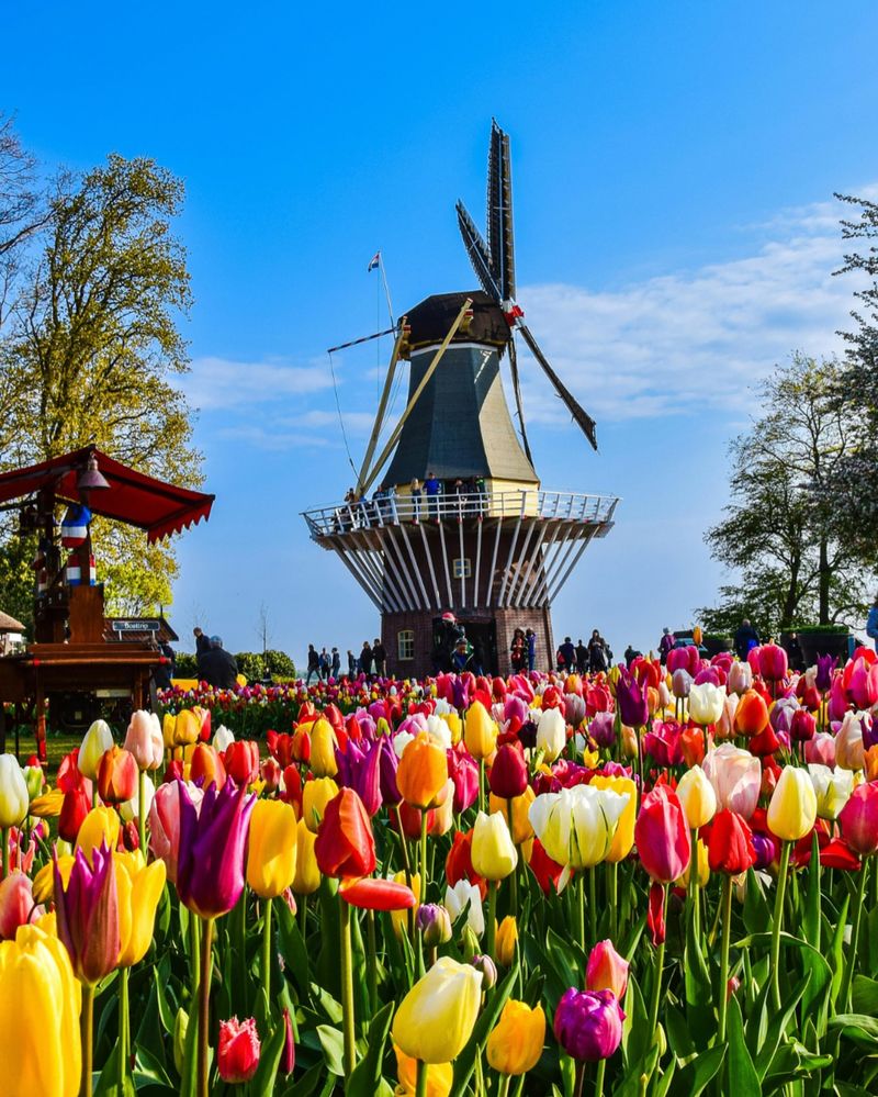 Keukenhof, Netherlands