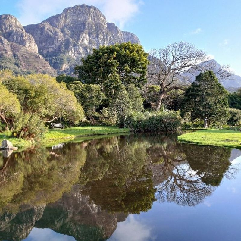Kirstenbosch National Botanical Garden, South Africa