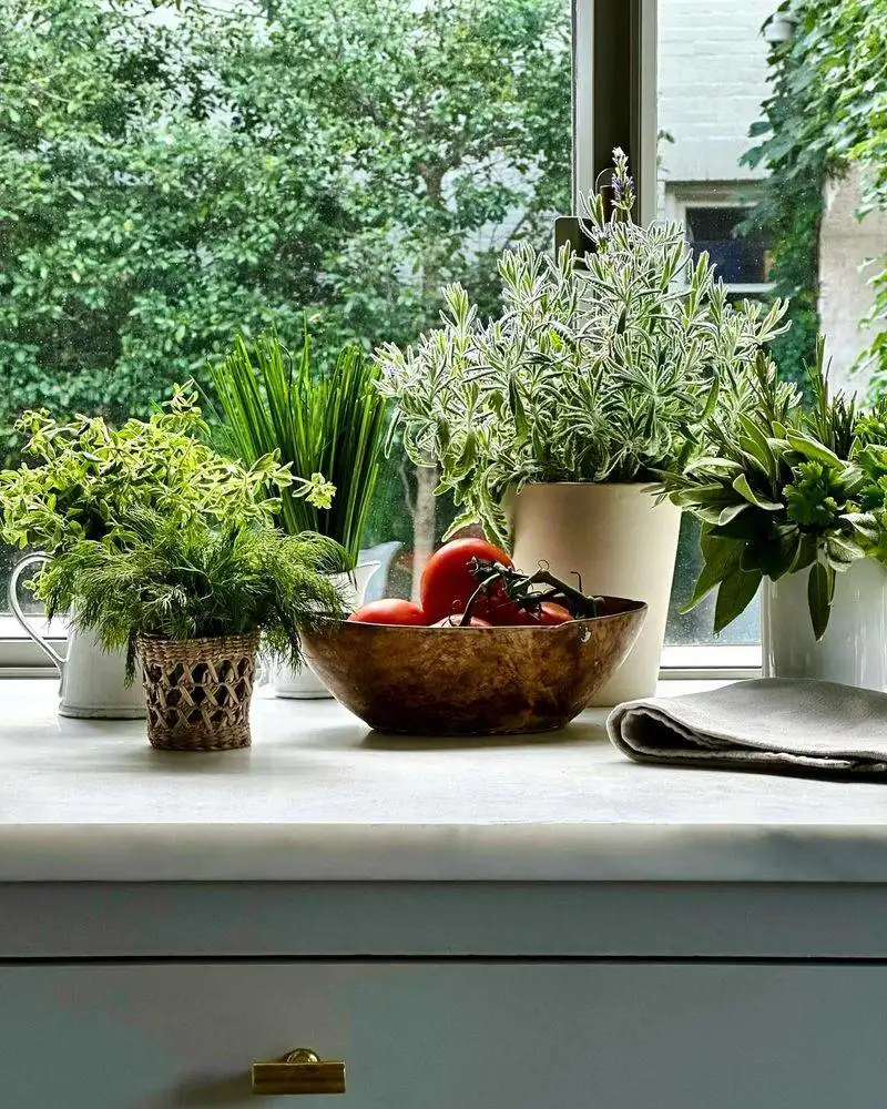 Kitchen Counter