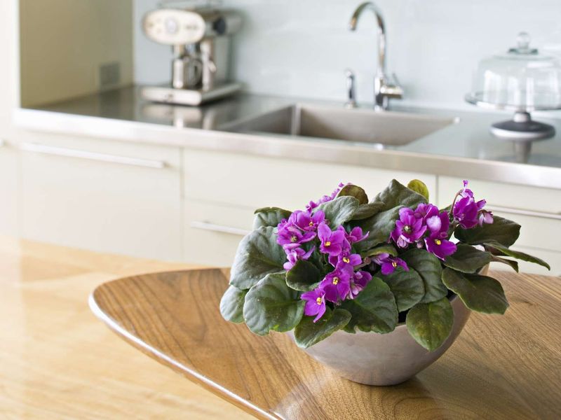 Kitchen Countertop