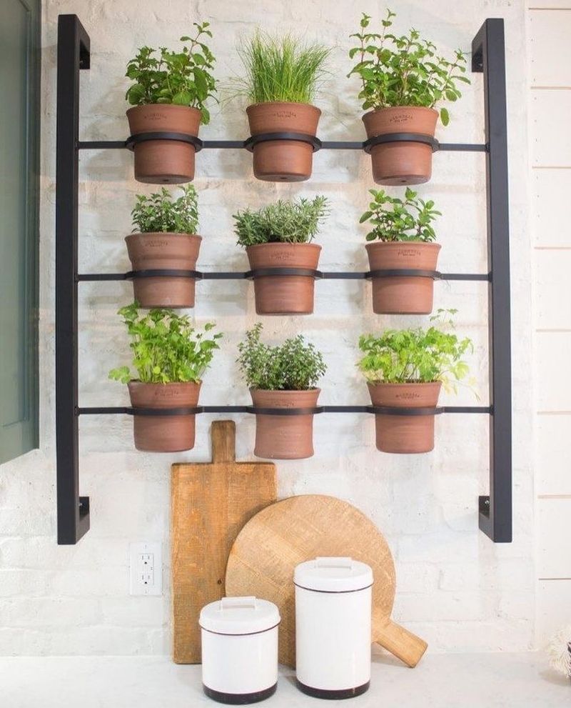 Kitchen Herb Gardens