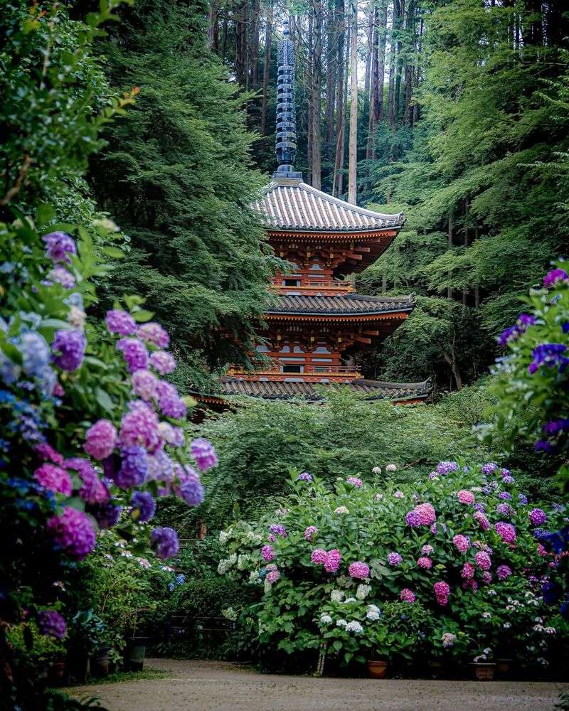 Kyoto, Japan