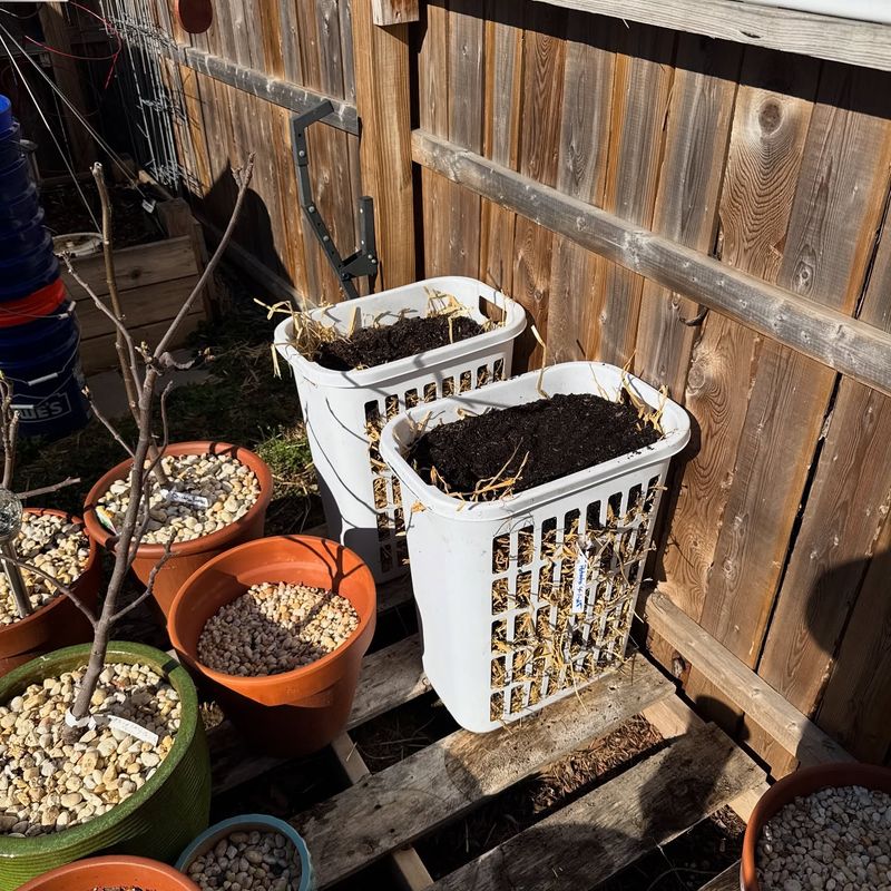 Laundry Basket Layers
