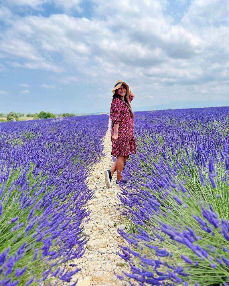 Lavender