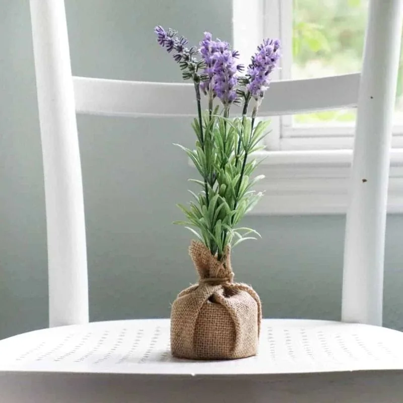 Lavender Serenity