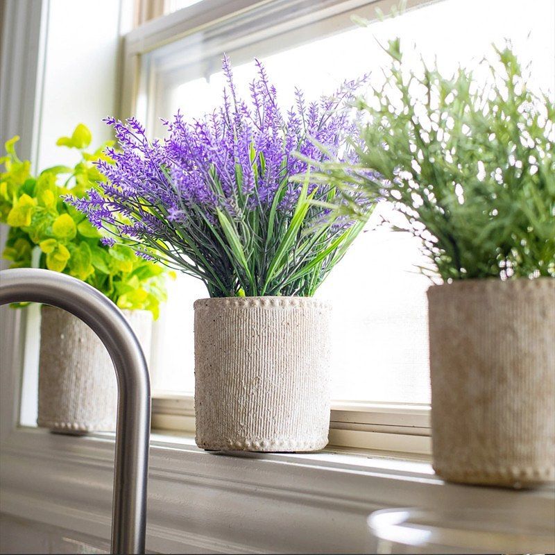 Lavender and Rosemary