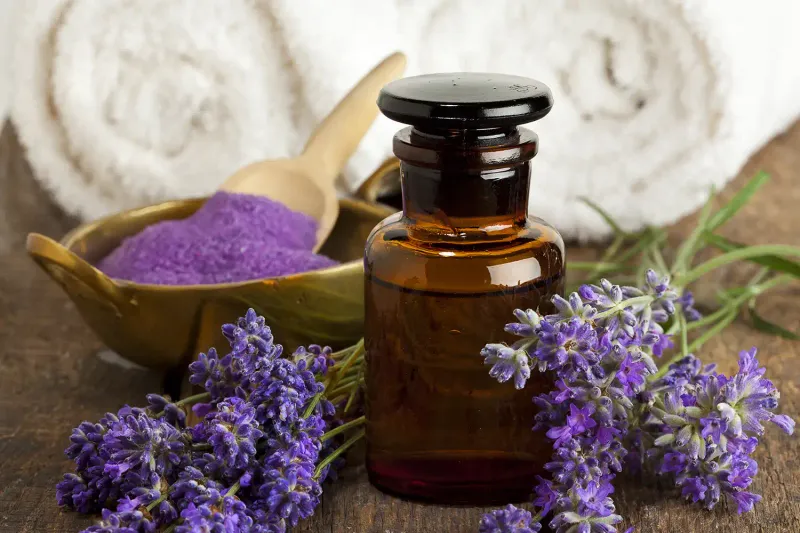 Lavender