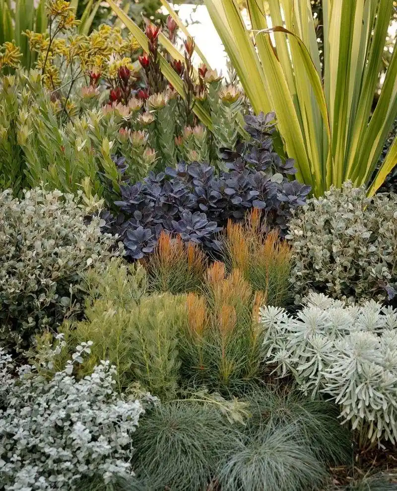 Layered Planting