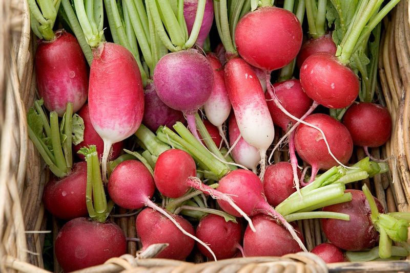Radishes