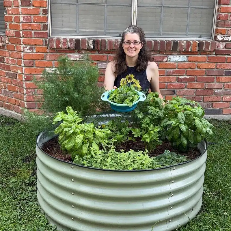Lettuce