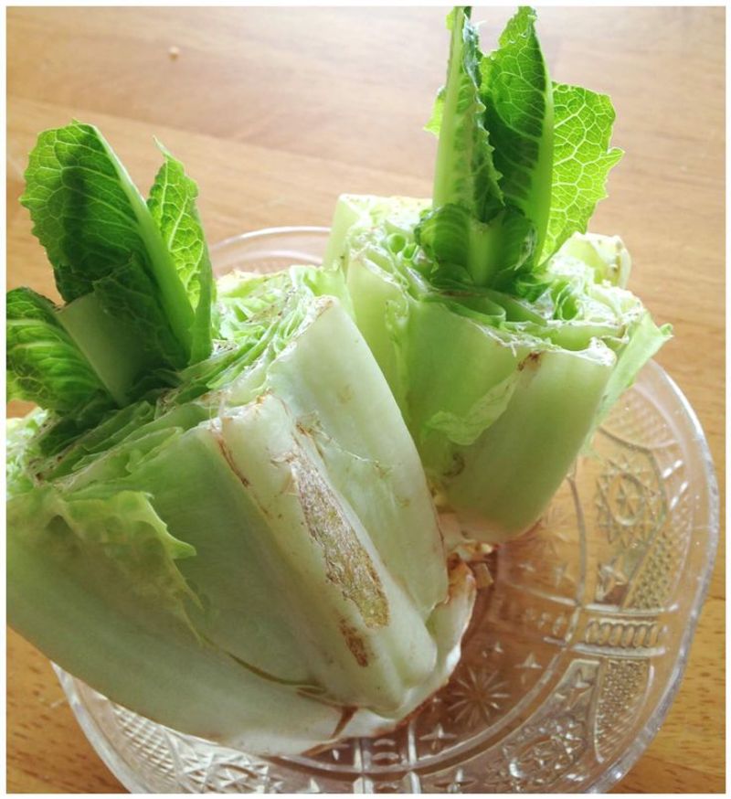 Lettuce Stumps