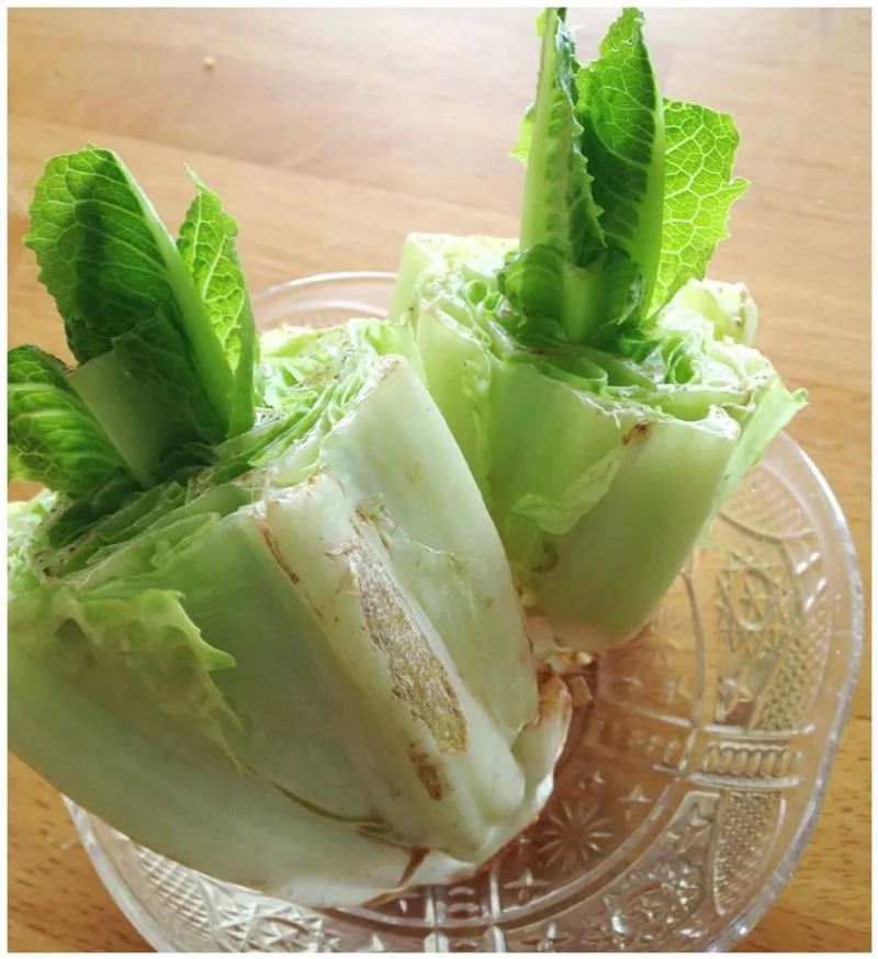 Lettuce Stumps