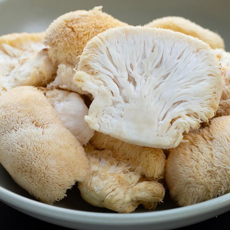 Lion's Mane Mushroom