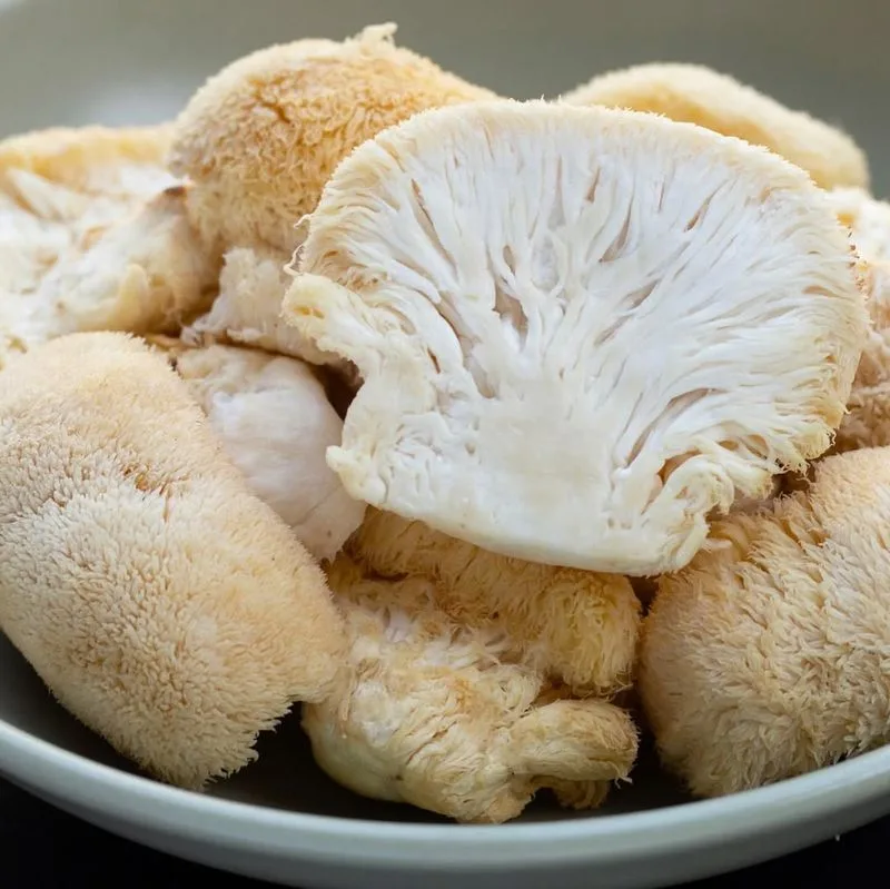 Lion's Mane Mushroom
