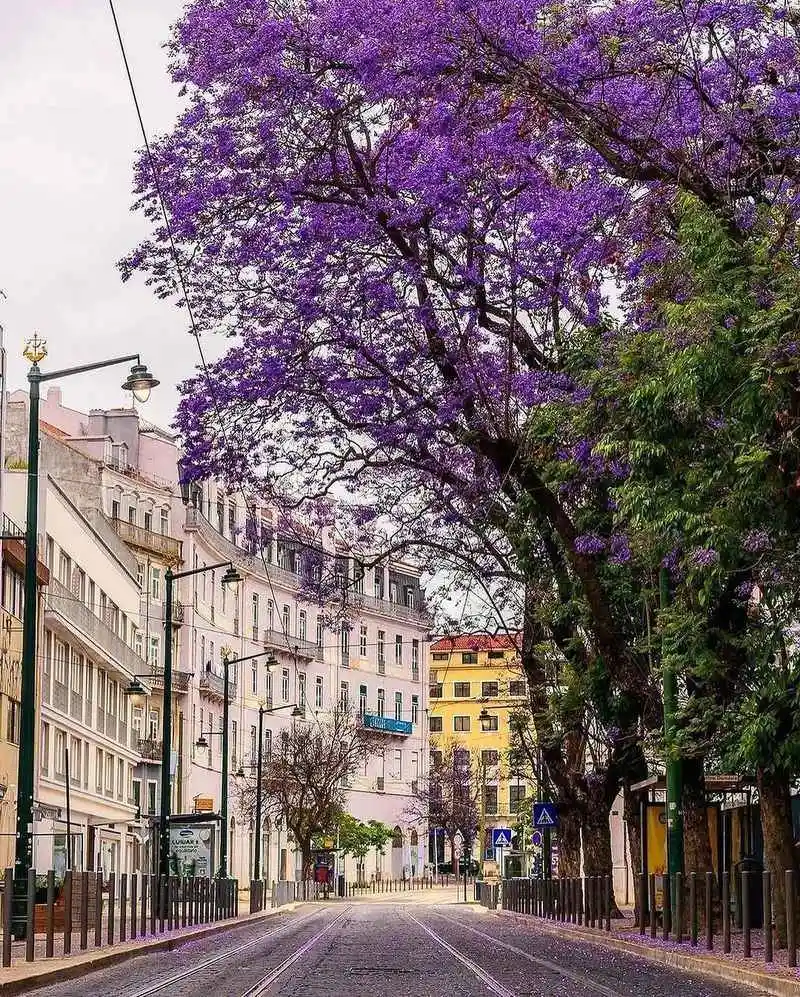 Lisbon, Portugal