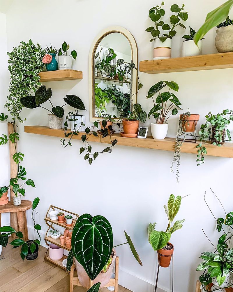 Living Room Bookshelf