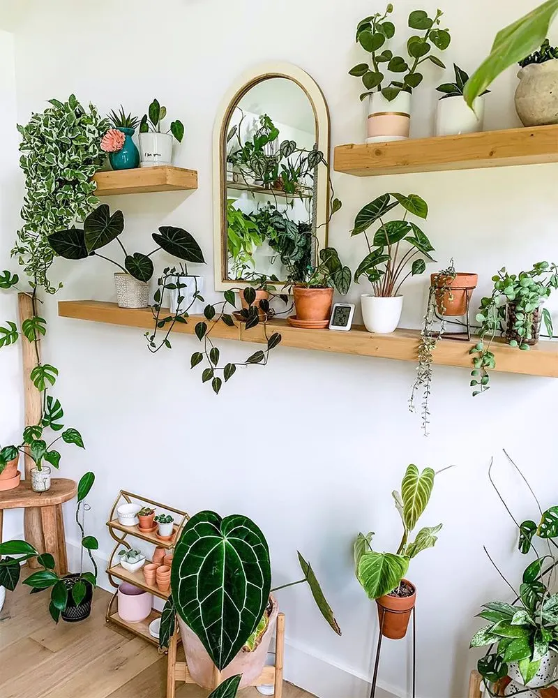 Living Room Bookshelf