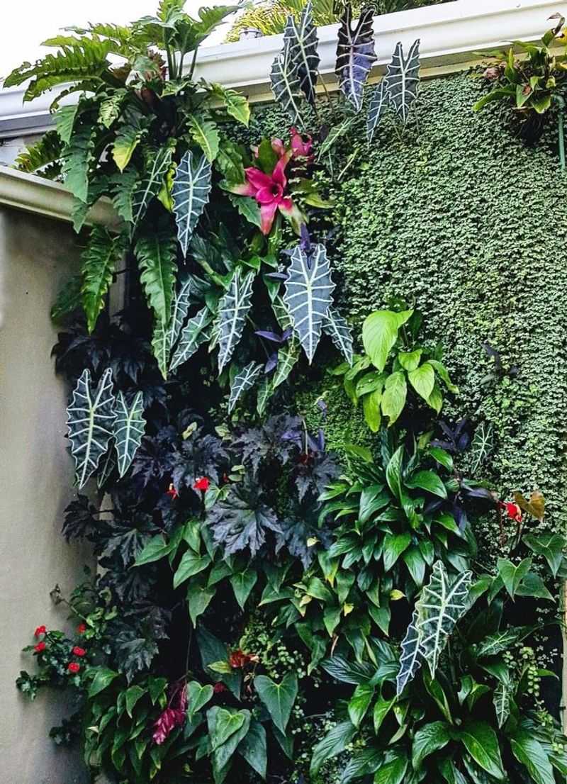 Living Walls