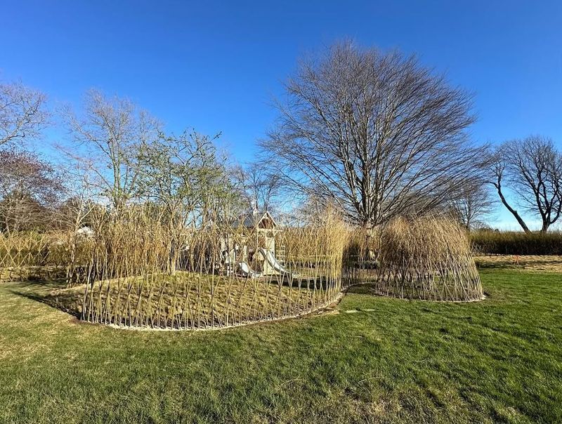 Living Willow Sculptures