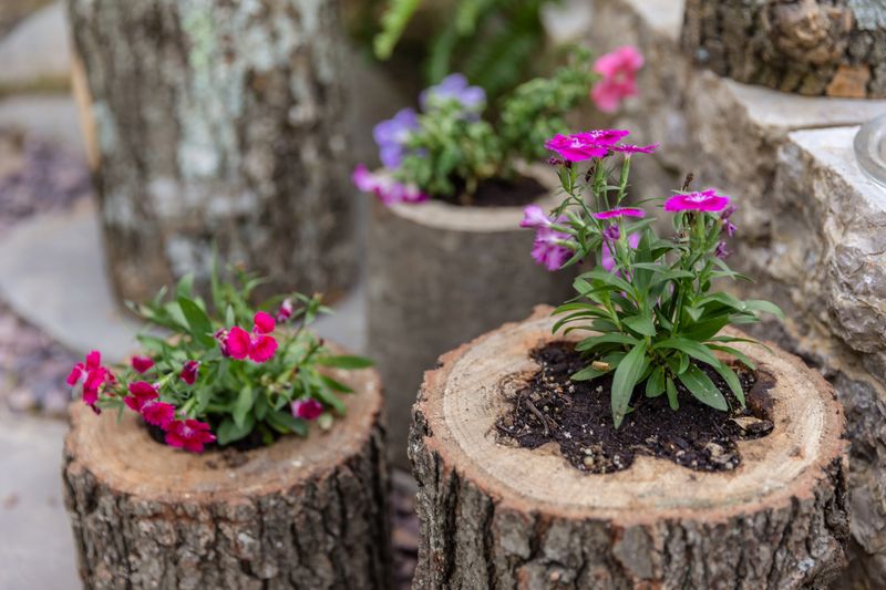 Log Planter