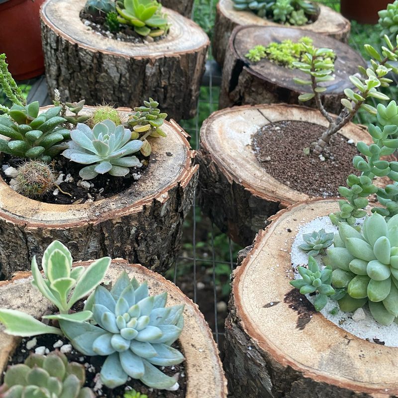 Log Planters