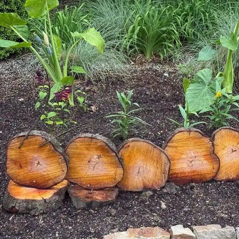 Log Slice Path