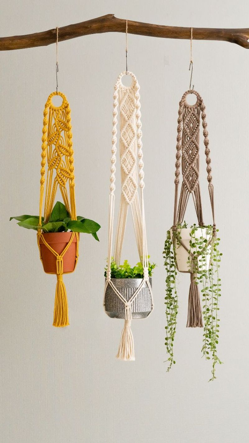 Macrame Plant Hangers
