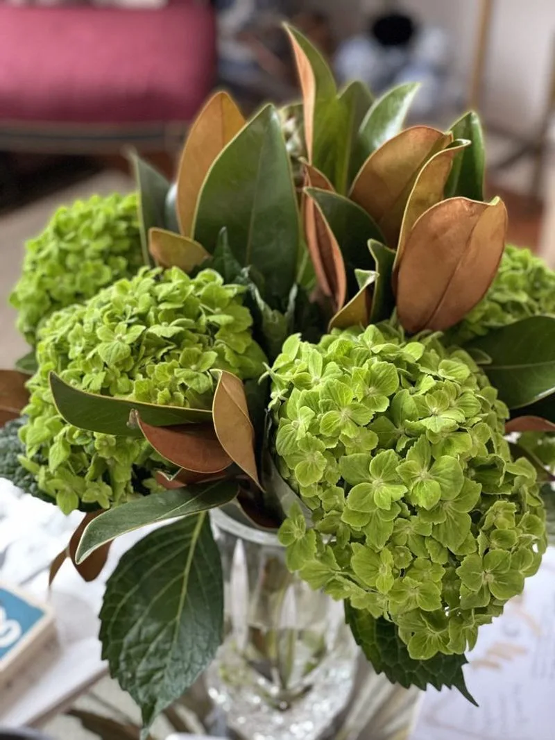 Magnolia Leaves