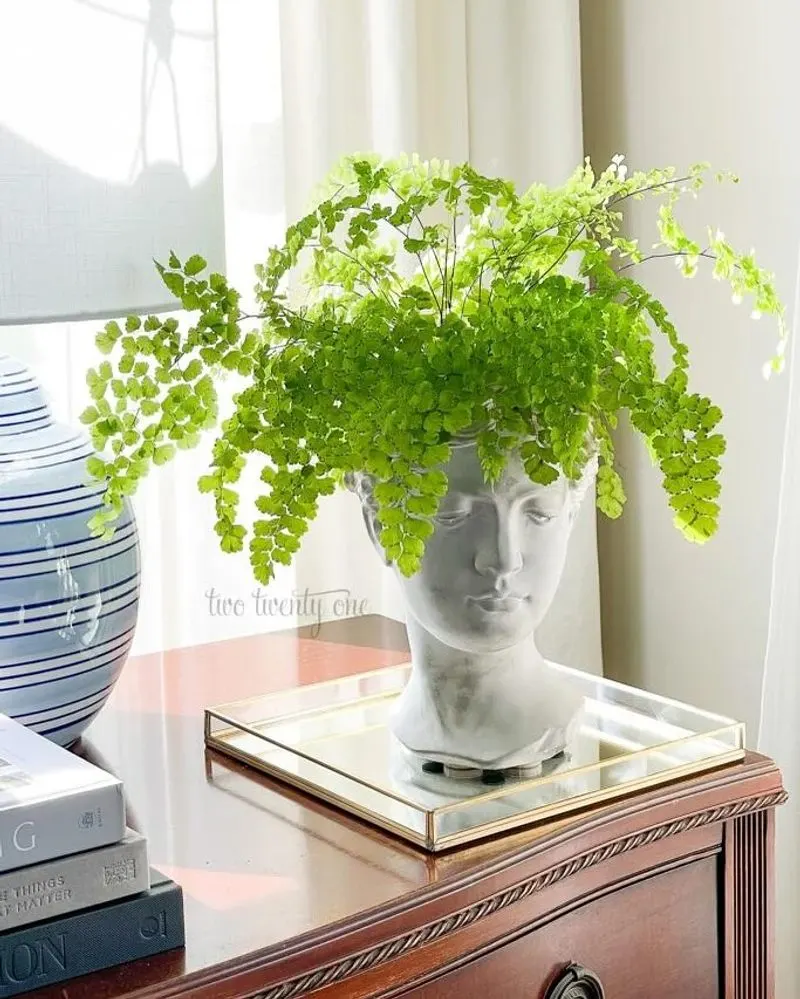 Maidenhair Fern