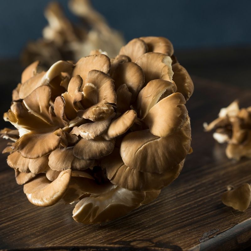 Maitake Mushrooms