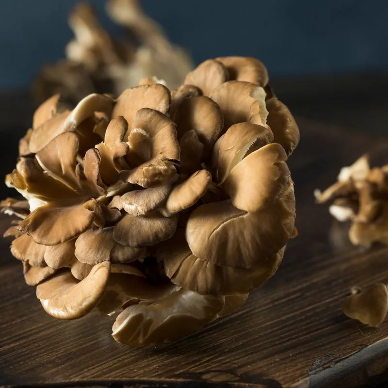 Maitake Mushrooms