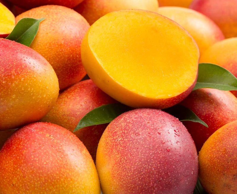 Mango