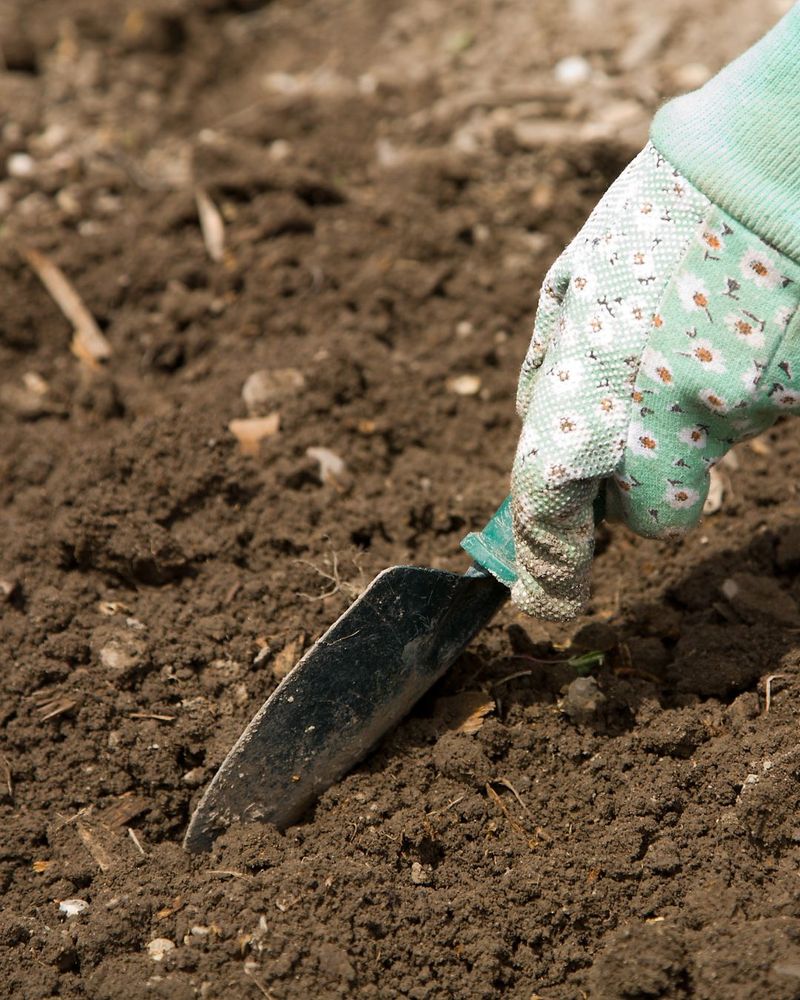 March: Soil Testing