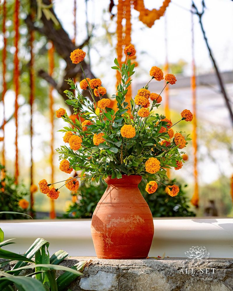Marigold