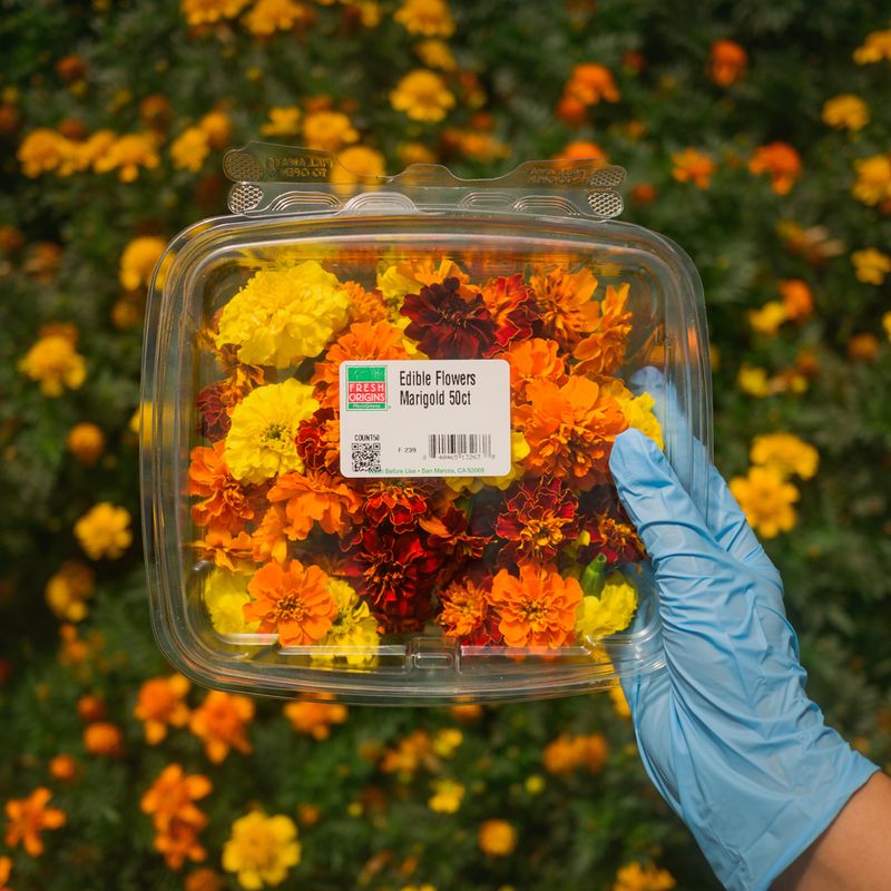 Marigold