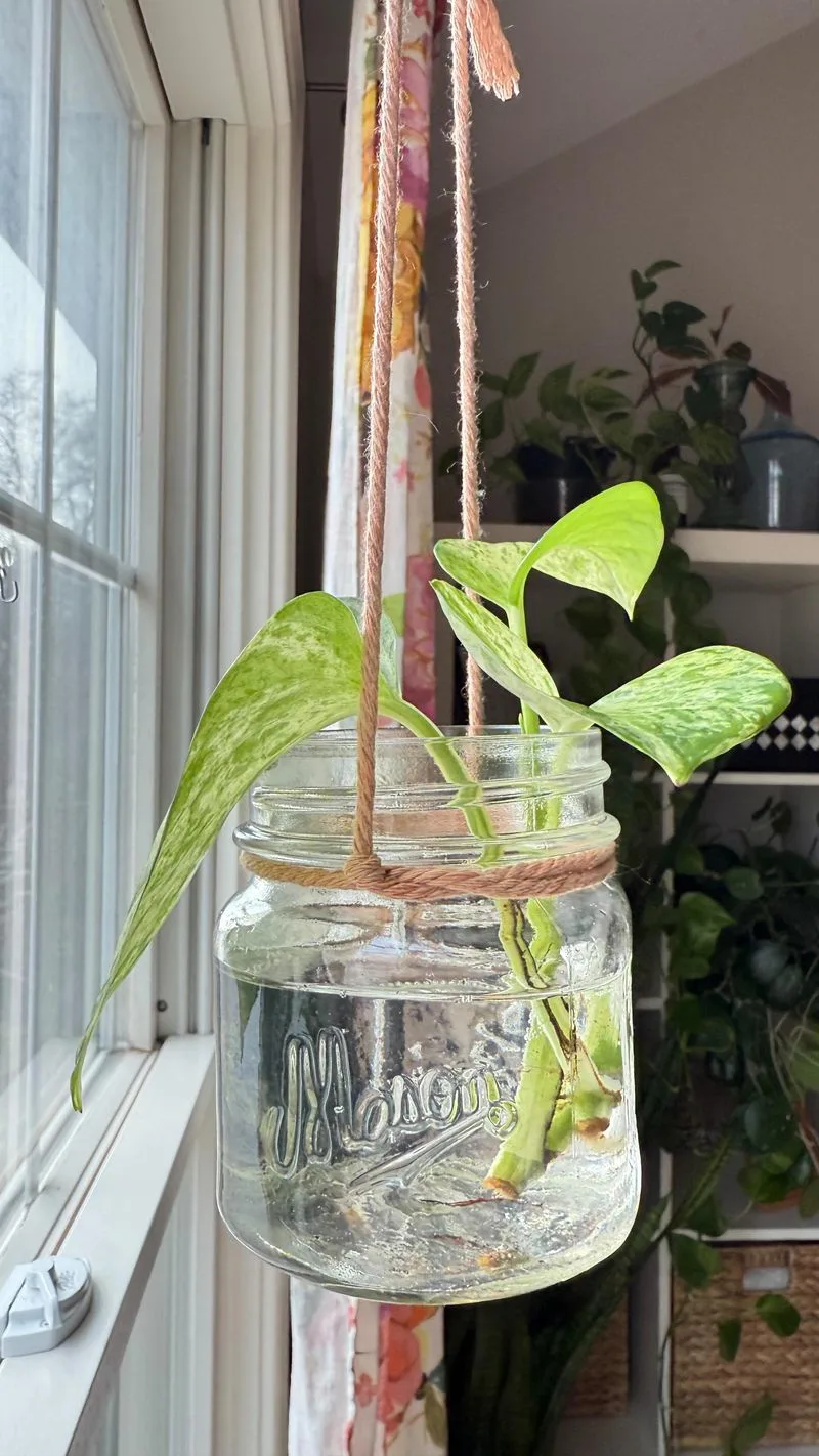 Mason Jar Hanger