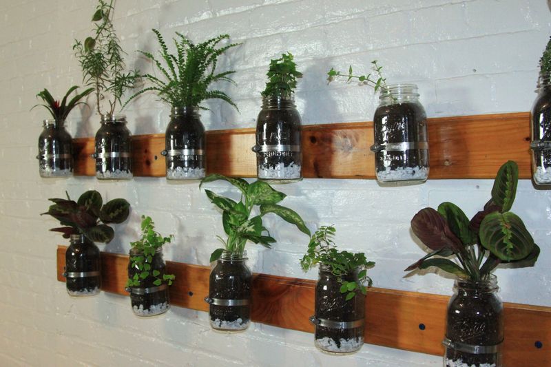 Mason Jar Herb Garden