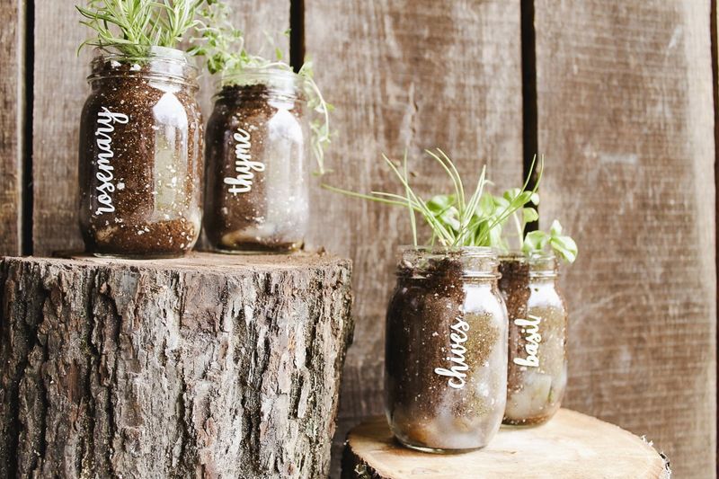 Mason Jar Herb Garden