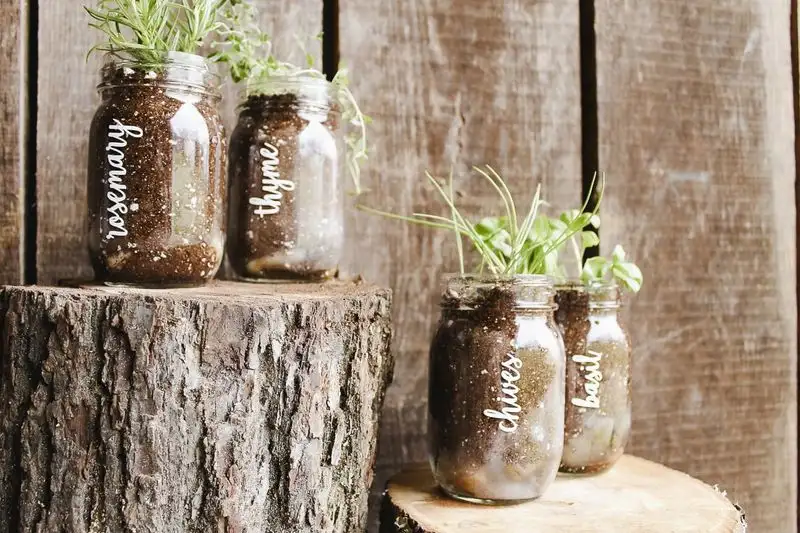 Mason Jar Herb Garden