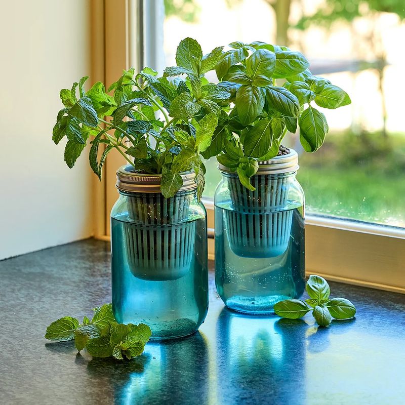 Mason Jar Herb Planters