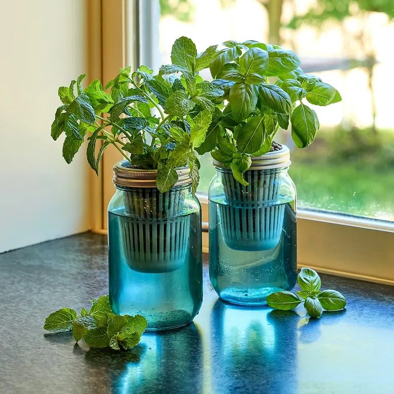 Mason Jar Herb Planters