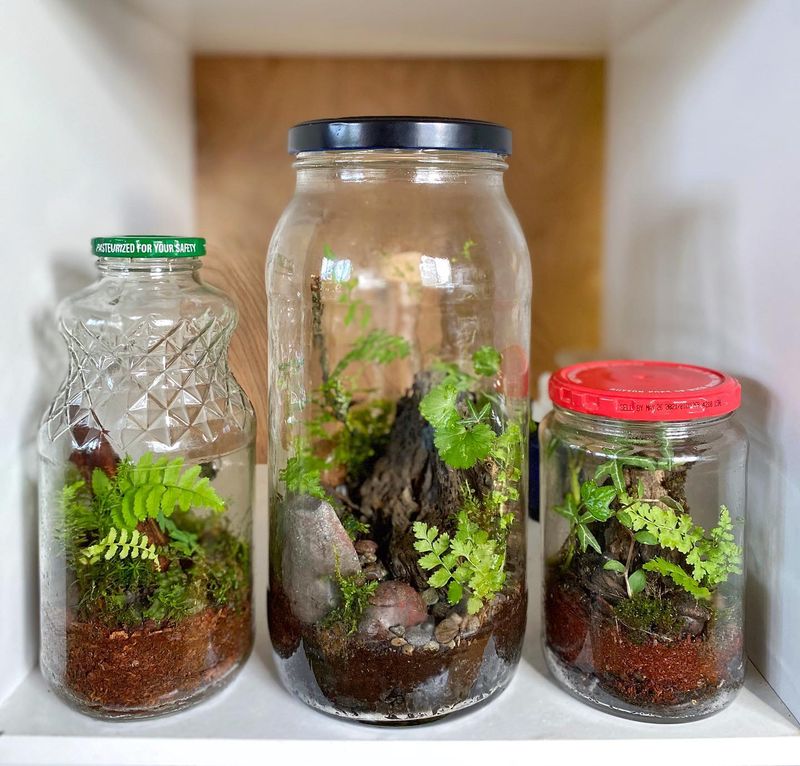 Mason Jar Terrarium