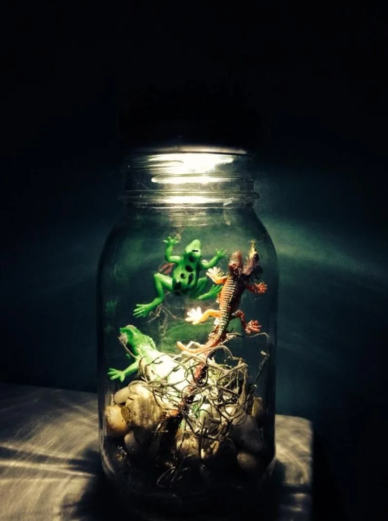 Mason Jar Terrariums