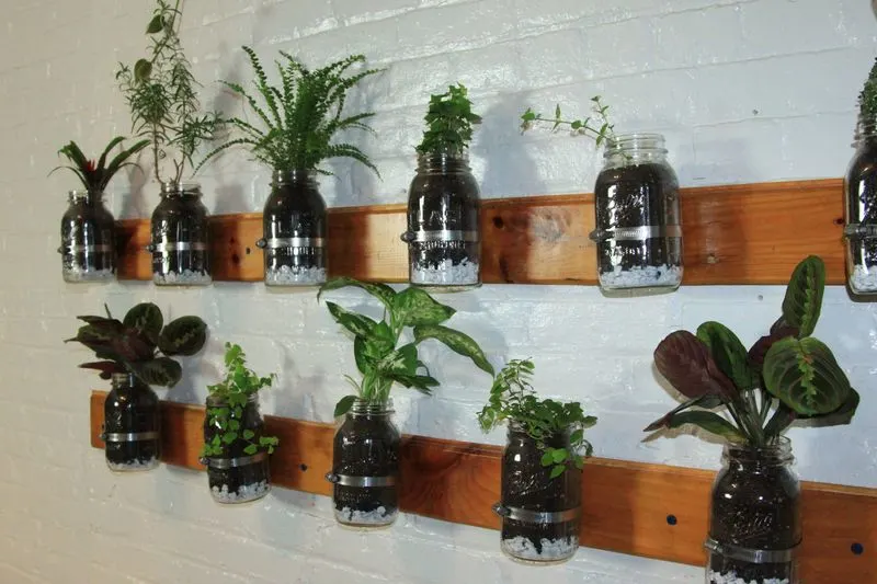 Mason Jars