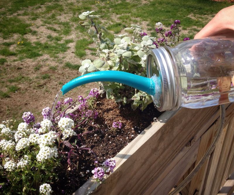 Mason Jars