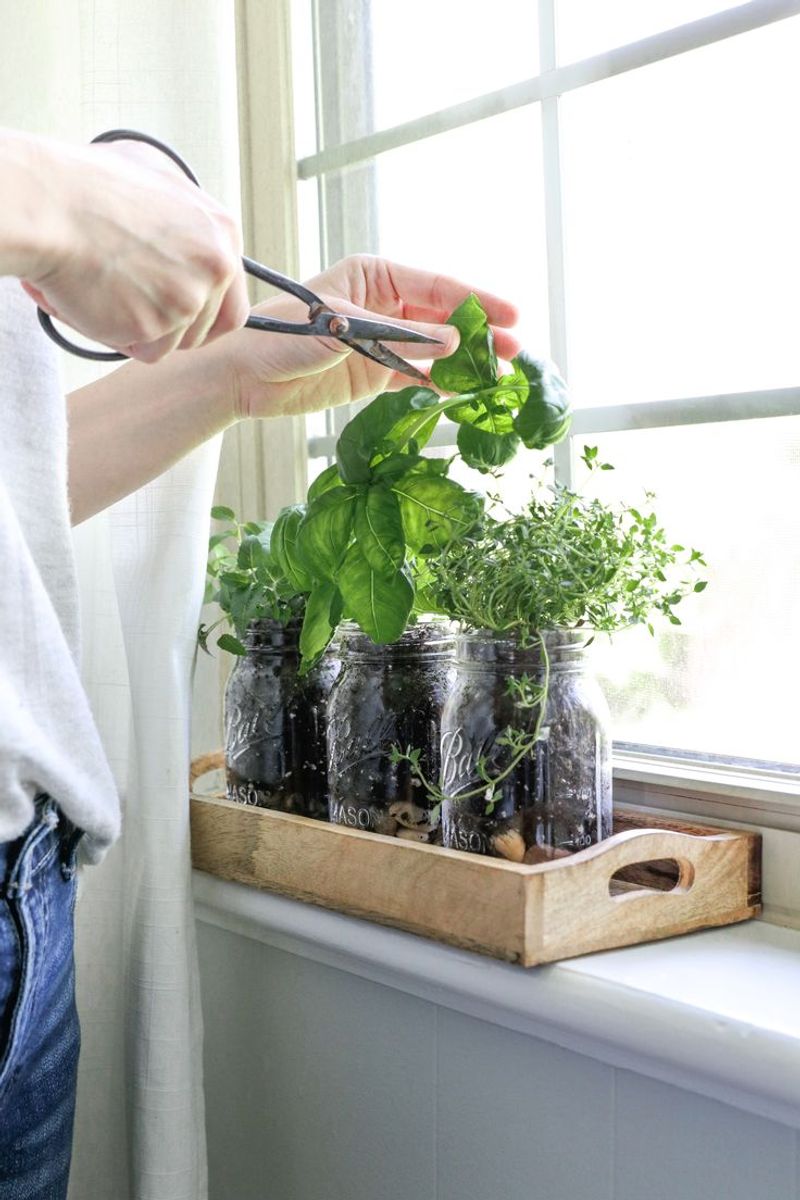 Mason Jars